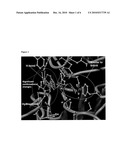 HISTONE DEACETYLASE INHIBITORS diagram and image