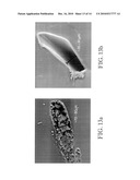 COMPOSITIONS CONTAINING BORANE OR CARBORANE CAGE COMPOUNDS AND RELATED APPLICATIONS diagram and image