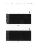 Methods and Compositions for Pigmented Self-Stratifying Coatings diagram and image