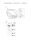 Anti-Adam-15 Antibodies and Utilization of the Same diagram and image