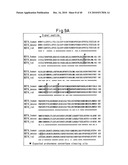 NOVEL BIOLOGICAL SUBSTANCE NESFATIN AND ITS RELATED SUBSTANCES AND USES THEREOF diagram and image