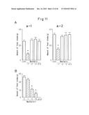 NOVEL BIOLOGICAL SUBSTANCE NESFATIN AND ITS RELATED SUBSTANCES AND USES THEREOF diagram and image