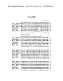 NOVEL BIOLOGICAL SUBSTANCE NESFATIN AND ITS RELATED SUBSTANCES AND USES THEREOF diagram and image