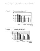 Method of producing plants having enhanced transpiration efficiency and plants produced therefrom diagram and image