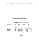 Methods for Transforming Plants to Express Delta-Endotoxins diagram and image