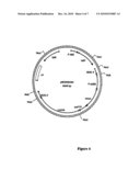 Methods for Transforming Plants to Express Delta-Endotoxins diagram and image