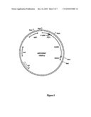 Methods for Transforming Plants to Express Delta-Endotoxins diagram and image