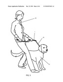 Animal Training Device diagram and image