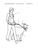 Animal Training Device diagram and image