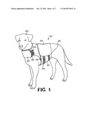 PRESSURE-APPLYING GARMENT FOR ANIMALS diagram and image