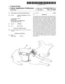 Adjustable male dog diaper wrap diagram and image