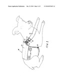 Adjustable male dog diaper wrap diagram and image