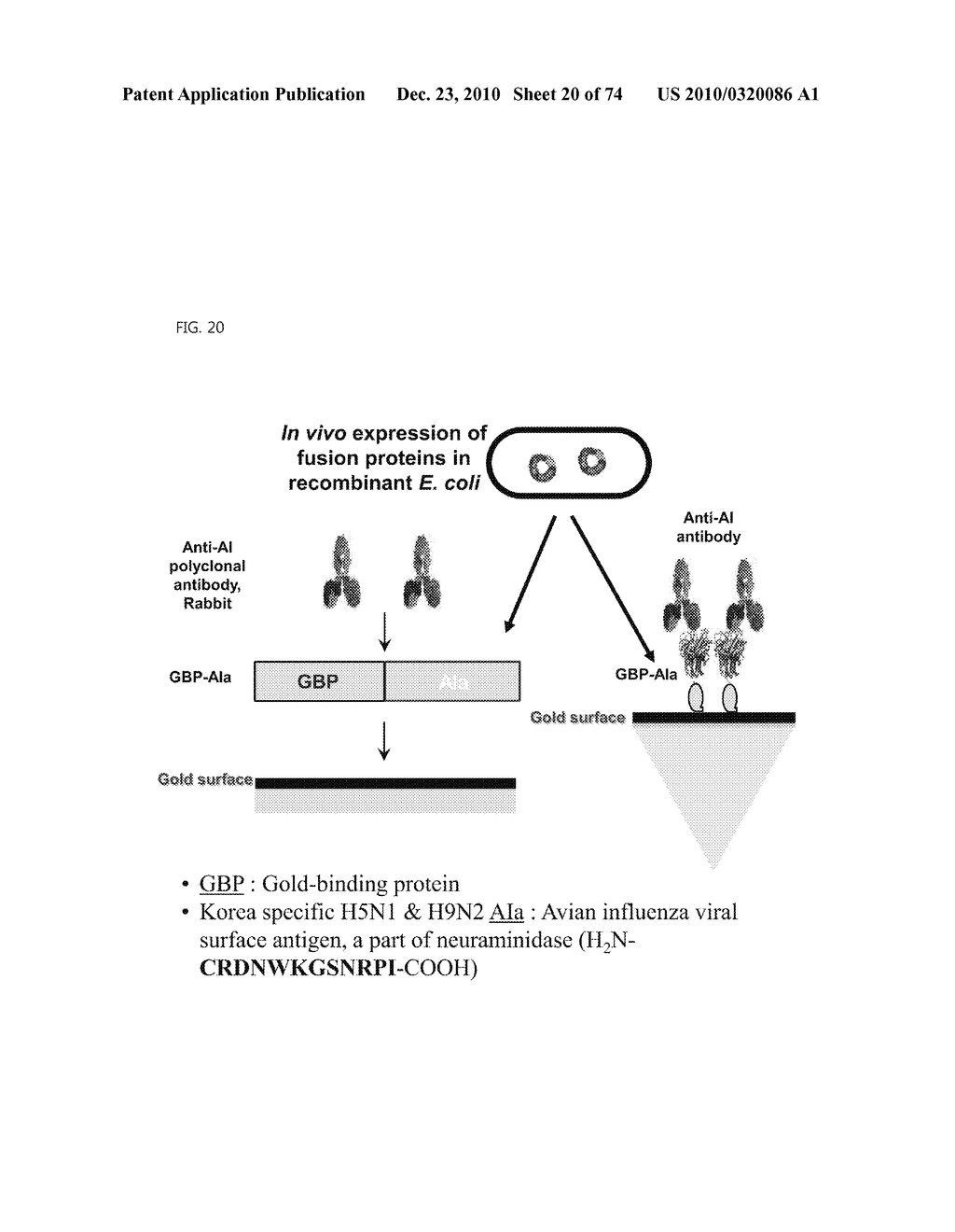 FLEXIBLE BIOSENSOR AND MANUFACTURING METHOD FOR THE SAME - diagram, schematic, and image 21