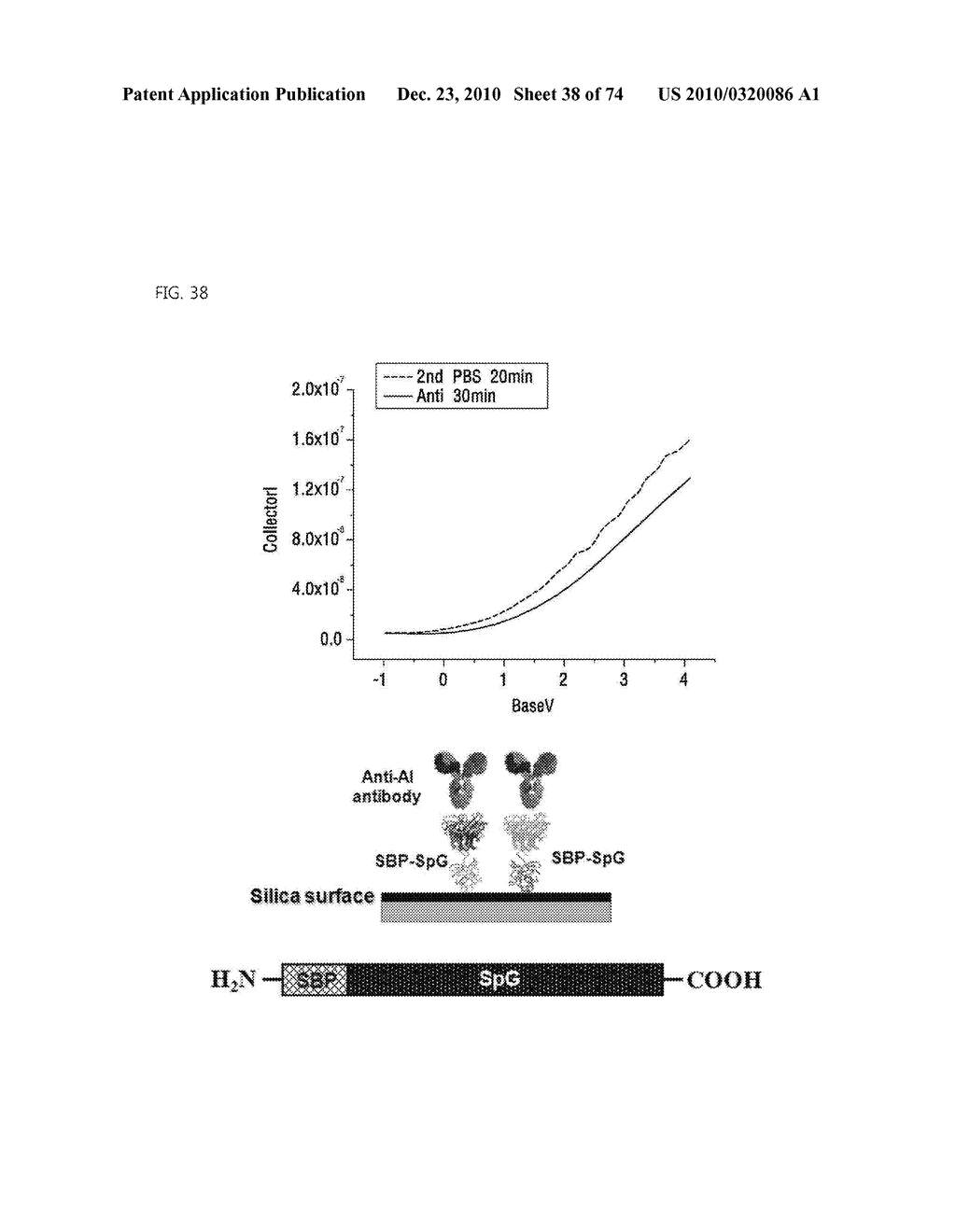 FLEXIBLE BIOSENSOR AND MANUFACTURING METHOD FOR THE SAME - diagram, schematic, and image 39