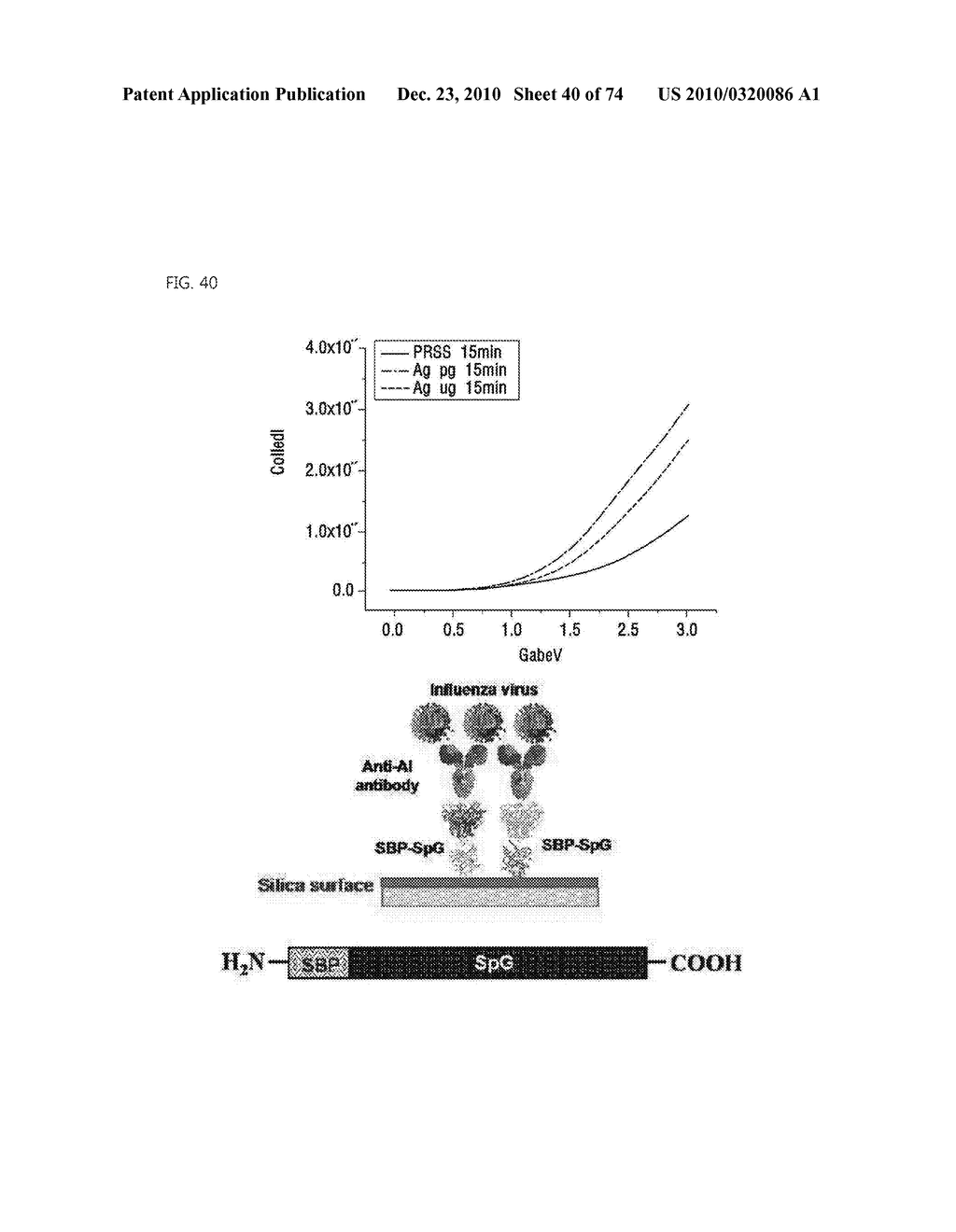 FLEXIBLE BIOSENSOR AND MANUFACTURING METHOD FOR THE SAME - diagram, schematic, and image 41