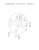 ENGINEERED CELLS, IMAGING REPORT GENE/PROBE SYSTEMS, AND METHODS OF IMAGING diagram and image