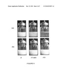 Co-polymer Stabilizers For Hydryfluoroalkane Dispersions diagram and image