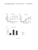 Flaviviridae Mutants Comprising a Deletion in the Capsid Protein for Use as Vaccines diagram and image