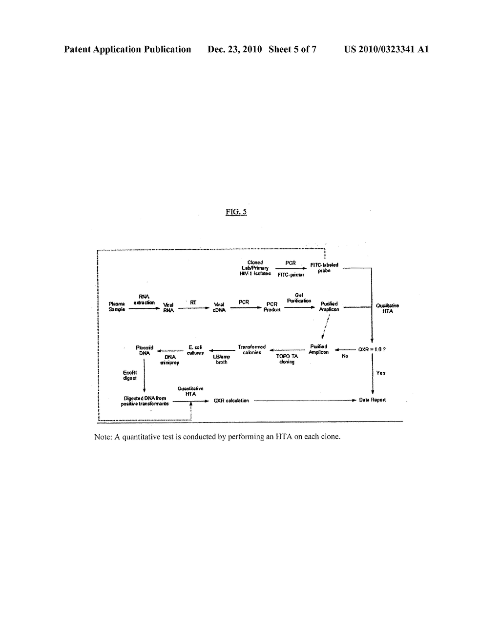 HETERODUPLEX TRACKING ASSAY - diagram, schematic, and image 06