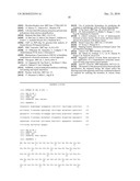 MEANS AND METHODS FOR THE DETECTION AND ISOLATION OF FETAL AND EMBRYONIC CELLS AND NUCLEIC ACID FROM MATERNAL BODY FLUID diagram and image