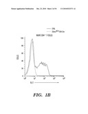 STROMAL INTERACTING MOLECULE KNOCKOUT MOUSE AND USES THEREOF diagram and image