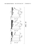 STROMAL INTERACTING MOLECULE KNOCKOUT MOUSE AND USES THEREOF diagram and image