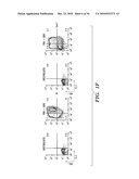 STROMAL INTERACTING MOLECULE KNOCKOUT MOUSE AND USES THEREOF diagram and image