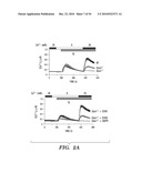 STROMAL INTERACTING MOLECULE KNOCKOUT MOUSE AND USES THEREOF diagram and image