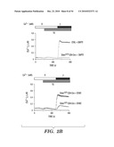 STROMAL INTERACTING MOLECULE KNOCKOUT MOUSE AND USES THEREOF diagram and image