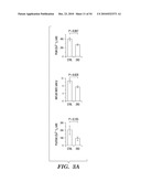 STROMAL INTERACTING MOLECULE KNOCKOUT MOUSE AND USES THEREOF diagram and image