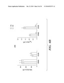 STROMAL INTERACTING MOLECULE KNOCKOUT MOUSE AND USES THEREOF diagram and image