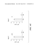 STROMAL INTERACTING MOLECULE KNOCKOUT MOUSE AND USES THEREOF diagram and image