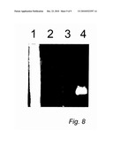 MODIFIED VIRD2 PROTEIN AND ITS USE IN IMPROVED GENE TRANSFER diagram and image