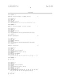 MODIFIED VIRD2 PROTEIN AND ITS USE IN IMPROVED GENE TRANSFER diagram and image