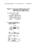 Baculoviruses With Enhanced Virion Production and a Method for the Production of Baculoviruses diagram and image