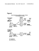 Baculoviruses With Enhanced Virion Production and a Method for the Production of Baculoviruses diagram and image