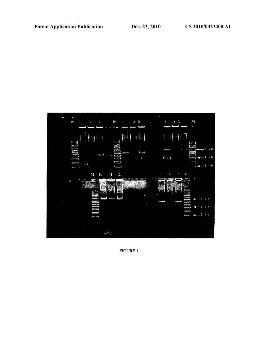 Compositions and Methods for Controlling Copy Number for a Broad Range of Plasmids and Uses Thereof - diagram, schematic, and image 02
