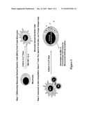 GENERAL METHOD FOR GENERATING HUMAN ANTIBODY RESPONSES IN VITRO diagram and image