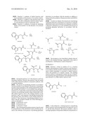 PROCESS OF PRODUCING GLUTAMATE DERIVATIVES diagram and image