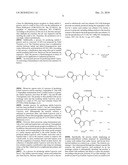 PROCESS OF PRODUCING GLUTAMATE DERIVATIVES diagram and image