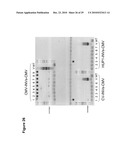 Production of Oil in Microorganisms diagram and image