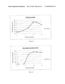 CARBON CAPTURE IN FERMENTATION diagram and image