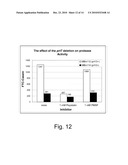 Methods For Producing Biological Substances In Enzyme-Deficient Mutants Of Aspergillus niger diagram and image