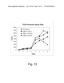 Methods For Producing Biological Substances In Enzyme-Deficient Mutants Of Aspergillus niger diagram and image