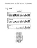 DIAGNOSTIC ASSAY FOR TRYPANOSOMA CRUZI INFECTION diagram and image