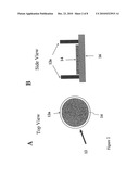 Porous Substrate Plates And The Use Thereof diagram and image