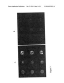 Porous Substrate Plates And The Use Thereof diagram and image