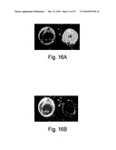 POLYMER SURFACE FUNCTIONALIZATION AND RELATED APPLICATIONS diagram and image