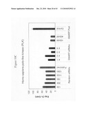 siRNA targeting TATA box binding protein (TBP)-associated factor (TAF1) diagram and image