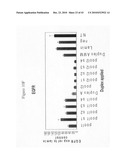 siRNA targeting TATA box binding protein (TBP)-associated factor (TAF1) diagram and image